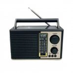Портативная FM колонка NS-2057S