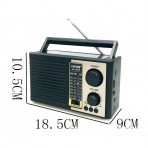 Портативная FM колонка NS-2057S