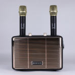 Портативная колонка BOOMS BASS M4201+ (караоке)