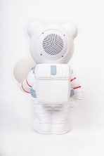 Портативная колонка CH-M265