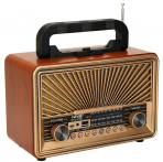 Портативная FM колонка NS-2073BT