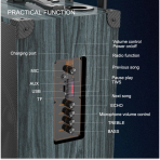 Акустическая колонка Sing-E JQS911S