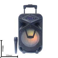 Акустическая колонка JBK-0810