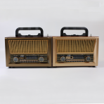 Портативная FM колонка NS-2076BT