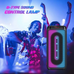 Акустическая колонка QS-4221