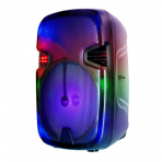 Акустическая колонка QS-2821