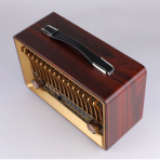 Портативная FM колонка R-1918BT