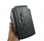 Портативная FM колонка NS-8062BT