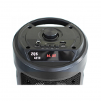 Акустическая колонка ZQS-4210