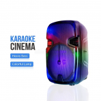 Акустическая колонка QS-2821