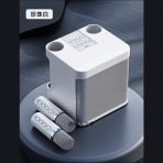 Портативная колонка YS-203 (караоке)