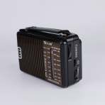 Портативная FM колонка RX-608AC