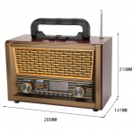 Портативная FM колонка NS-2077BT