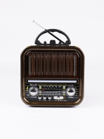 Портативная FM колонка RX-730D