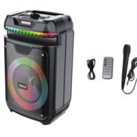 Акустическая колонка ZQS-8139