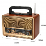 Портативная FM колонка NS-2073BT