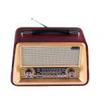 Портативная FM колонка R-2066BT