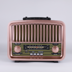 Портативная FM колонка RX-BT929