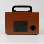 Портативная FM колонка NS-2076BT