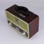 Портативная FM колонка M-111BT