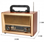 Портативная FM колонка NS-2076BT