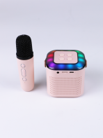 Портативная колонка CR-X160 (караоке) KMS-192