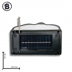 Портативная FM колонка NS-222S