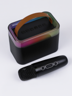 Портативная колонка RM-S578 (караоке)