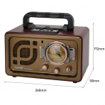 Портативная FM колонка NS-8099BT