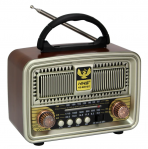 Портативная FM колонка NS-8091BT