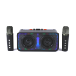 Портативная колонка SK-2063 (Караоке)