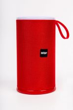 Портативная колонка BENEF BF-227