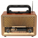 Портативная FM колонка NS-2073BT