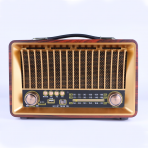 Портативная FM колонка R-1918BT