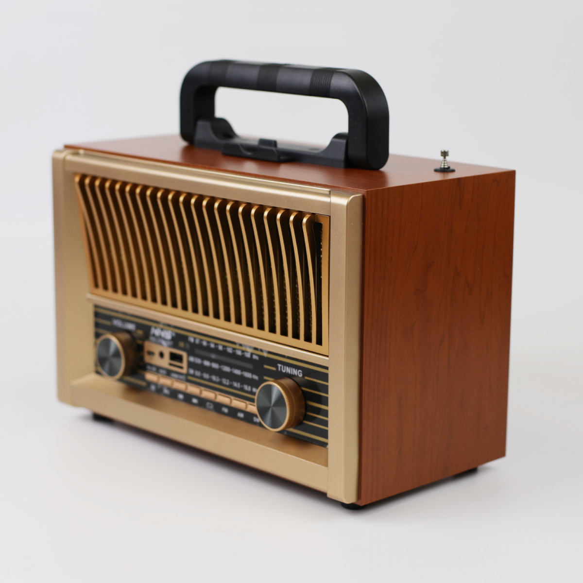 Портативная FM колонка NS-2076BT