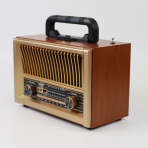 Портативная FM колонка NS-2076BT