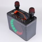 Портативная колонка Y-12 (караоке)