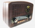 Портативная FM колонка NS-3359BT