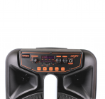 Акустическая колонка QS-1204