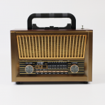 Портативная FM колонка NS-2076BT