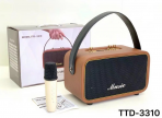 Портативная колонка TTD-3310 (караоке)