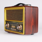 Портативная FM колонка R-2055BT