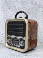 Портативная FM колонка RX-720D
