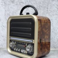 Портативная FM колонка RX-720D