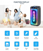 Акустическая колонка QS-4221