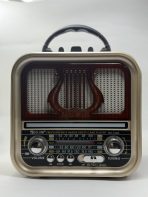 Портативная FM колонка RX-740D