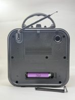 Портативная FM колонка RX-740D