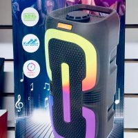 Акустическая колонка BK-6221