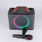 Портативная колонка Y-12 (караоке)