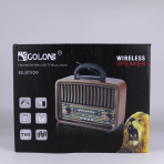 Портативная FM колонка RX-BT929